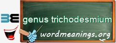 WordMeaning blackboard for genus trichodesmium